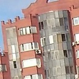 �����, �������, 50 ���