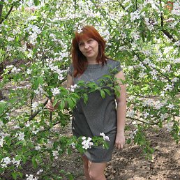 ���� ������, ������-��-����, 54 ���� - ��������� 14 ����� 2026