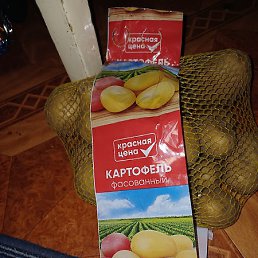 Coffee, ������, 47 ���