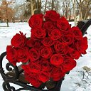 ���� ��������, �������-��������� - ��������� 29 ������ 2025 � ������ ������ ��������