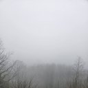 ���� Mark, ����-����, 56 ��� - ��������� 17 ����� 2024 � ������ ���� ����������