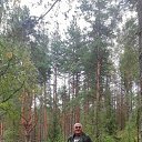 ���� Vahid, ������ ��������, 44 ���� - ��������� 9 ����� 2026