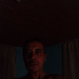  , 44, 