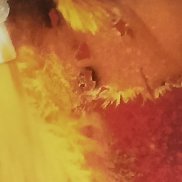 , 42 , 