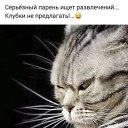  , , 61  -  3  2024