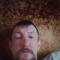 ���������, 38 ���, ����������