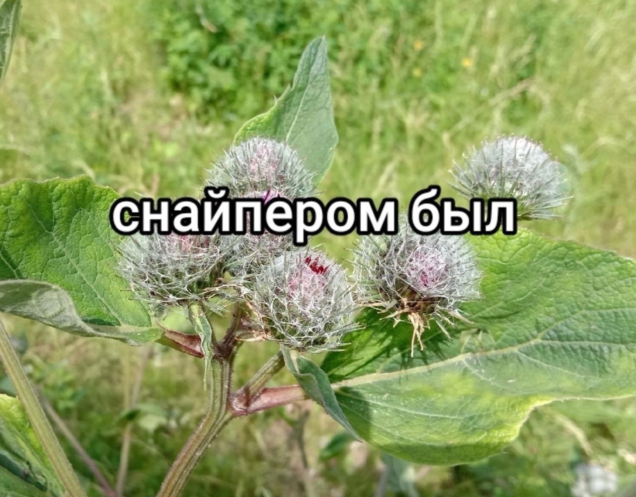   - 3
