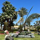 ���� Zinat, ������, 44 ���� - ��������� 6 ������� 2024 � ������ ���� ����������