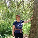 ���� ����, ���������, 44 ���� - ��������� 5 ������ 2026 � ������ ���� ����������