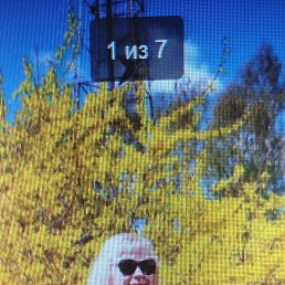 ���� �������, ��������, 63 ���� - ��������� 3 ������� 2026