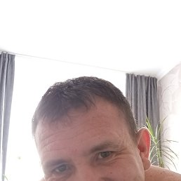 ����������, 41 ���, �����