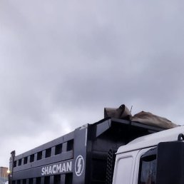 ����, ������, 41 ���