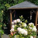 ���� �����, ����� - ��������� 4 ��� 2025 � ������ ���� ������� ���