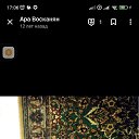 ���� ����, ������, 51 ��� - ��������� 15 ������ 2024 � ������ ���� ����������