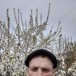 , 43, 