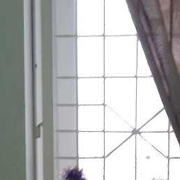 �������, �����, 43 ����