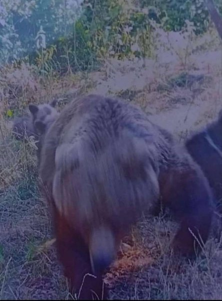 �� �������� ������� ����� �� �������, ���������� ���� � ����.�� �������� ������� ����� ����� ����� ...