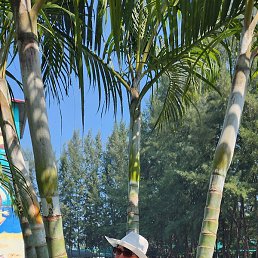 ���, ����