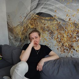 ���� �����, ������, 48 ��� - ��������� 15 ����� 2026