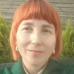 �������, ���������, 41 ���