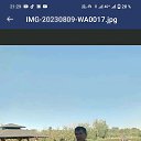 ���� ���������, ������, 55 ��� - ��������� 4 ������� 2024
