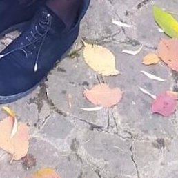 ������, ���������, 43 ����