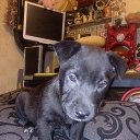 ���� ����, ������-��-����, 37 ��� - ��������� 16 ������� 2025 � ������ ���� ����������