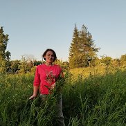 , 61 , 