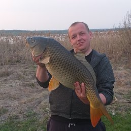 , 41, 