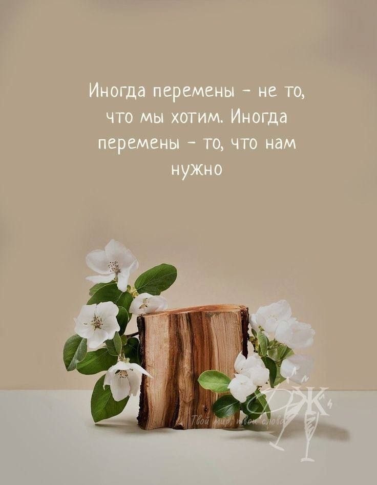   - 11  2025  08:00