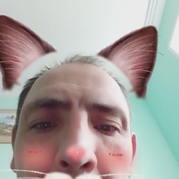 ���� ������, ������, 46 ���