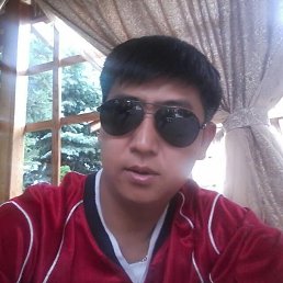 , 37, 
