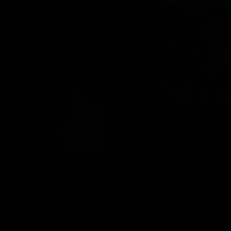 �����, ������, 55 ���