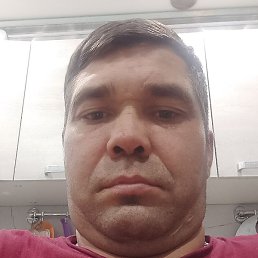 �������, ���, 39 ���