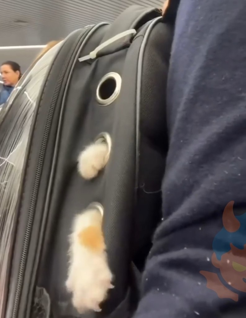     ,      -   ...   - ... - 2