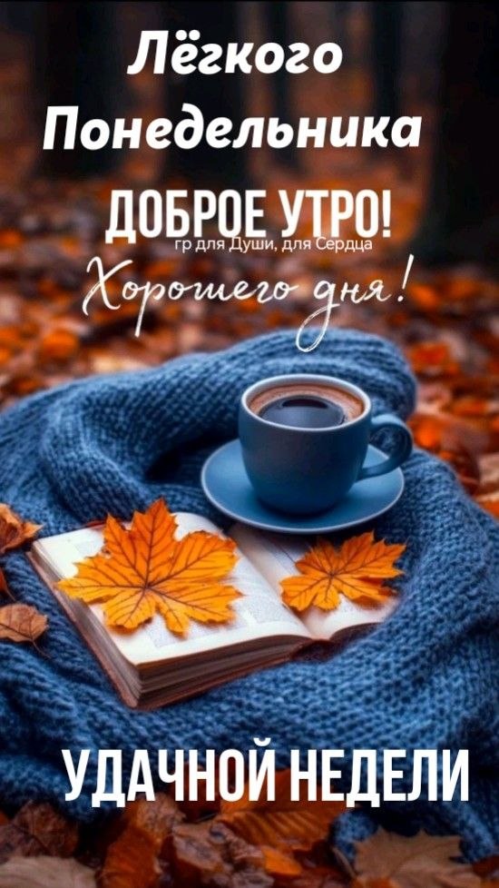 24 . .  !    !     !