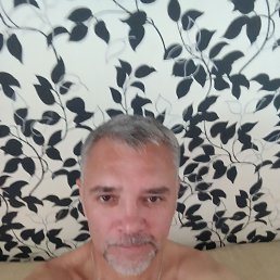 ���� ������, ������, 49 ��� - ��������� 26 ���� 2026