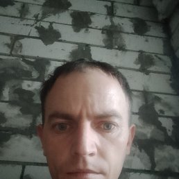 ����, 33 ����, ����������