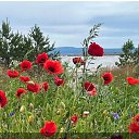  , , 53  -  13  2025   , , !!