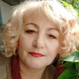 �����, ����, 66 ���