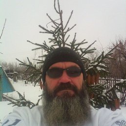 , 53 , 