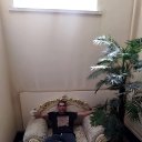 ���� �����, ������, 36 ��� - ��������� 26 ������� 2024 � ������ ���� ����������