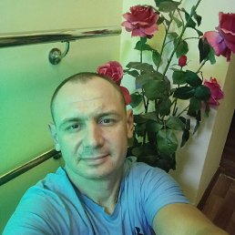 , 42, 