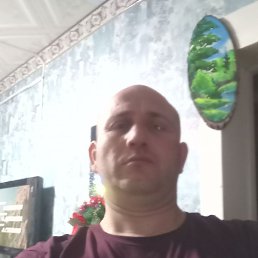 �����, �������������, 36 ���