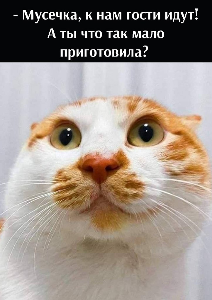       - 26  2025  17:28