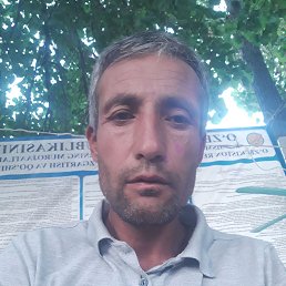 , 44, 
