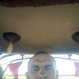 , 53, 