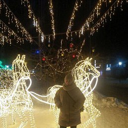 ���� �����, �����, 52 ���� - ��������� 2 ������ 2026