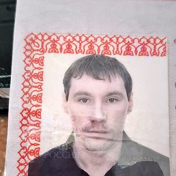 , 43 , 