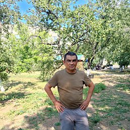 , 37 , 